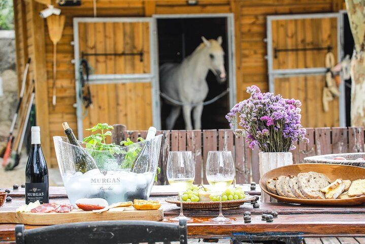 Wine tasting at Quinta das Murgas - Photo 1 of 7