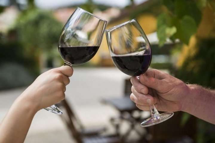 Wine Tasting - Private Half-Day Tour - Photo 1 of 12