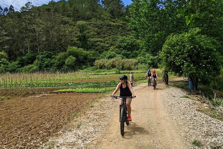 Wine Tasting Tour - Photo 1 of 7