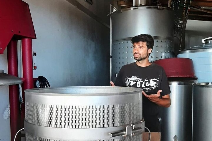 Wine tour and Tasting with a local Winemaker at Pico Island  - Photo 1 of 7