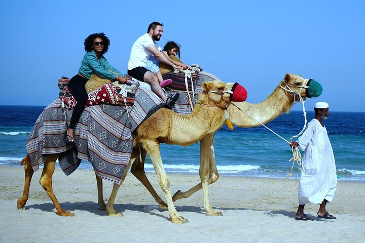 Camel ride & Quad bike Experience in sealine beach Qatar - Photo 1 of 5