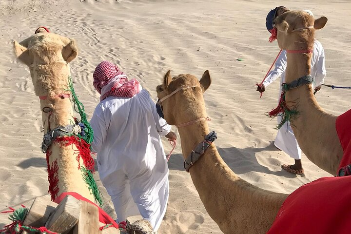 Camel trekking on the Dunes with Sunset - Photo 1 of 6