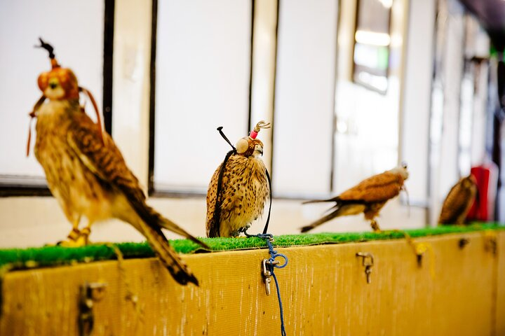 Embrace Doha | A Cultural Walking Tour - Photo 1 of 8