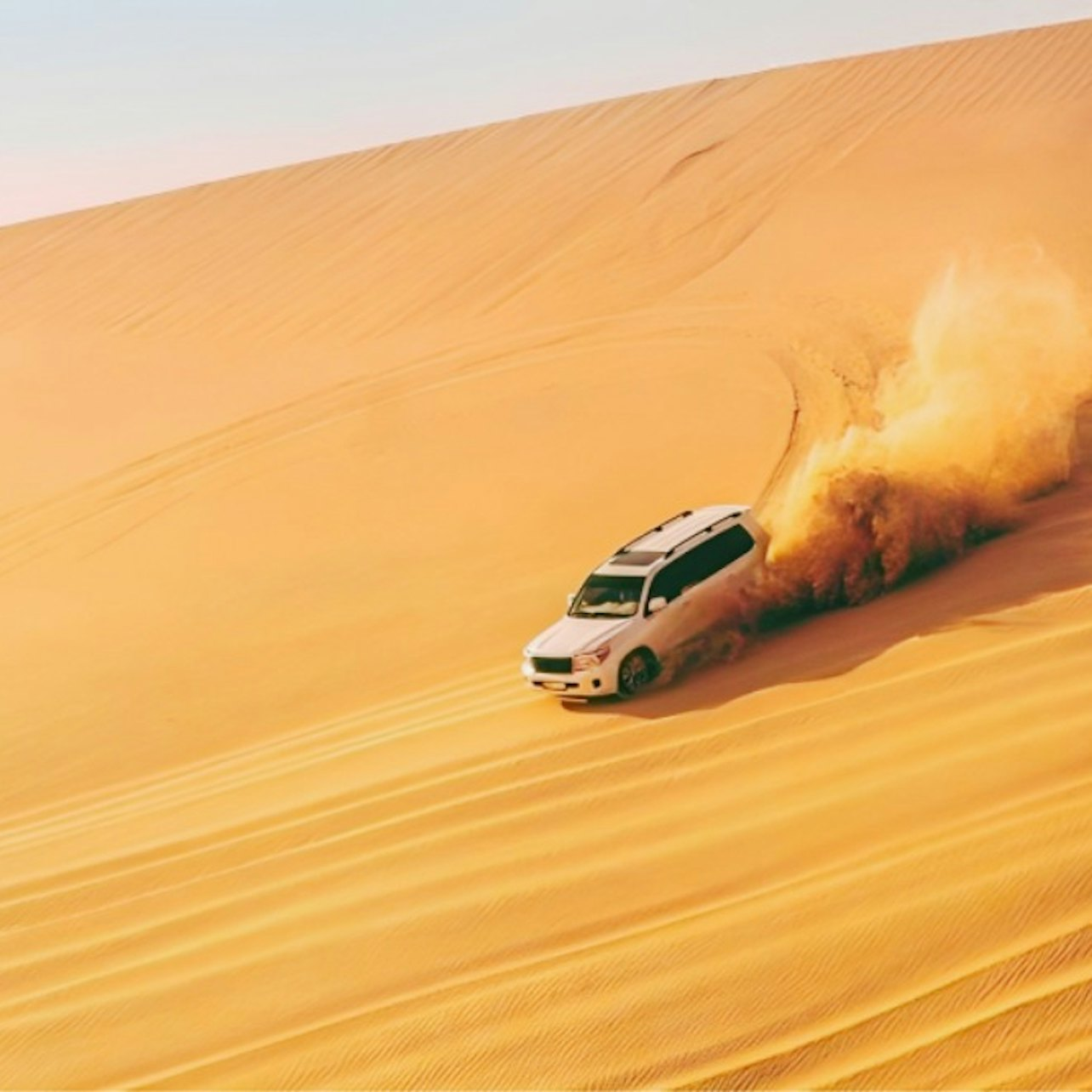 Full Day Desert Safari with BBQ Meal - Photo 1 of 7