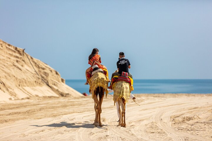 Al Majles Resort Day Pass - Photo 1 of 8