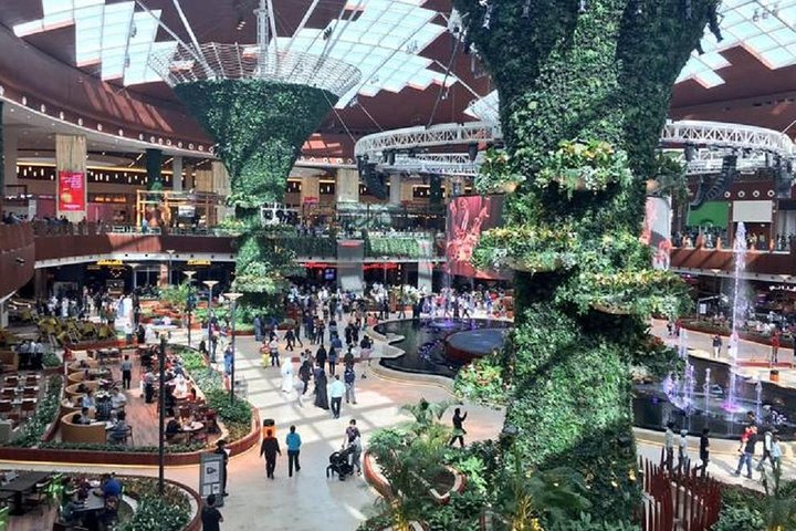 Mall of Qatar shopping tour in Doha Pelago
