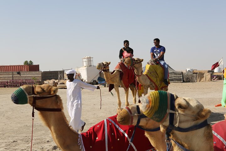 Doha; Sunrise Desert Tour and camel safari 4hrs - Photo 1 of 16