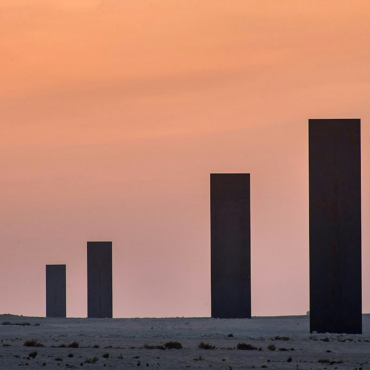 West Qatar: Camel Race Track Tour - Photo 1 of 5