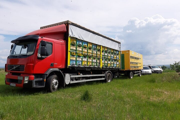Beekeeping Day Trip| Private Guided Tour from Bucharest  - Photo 1 of 17