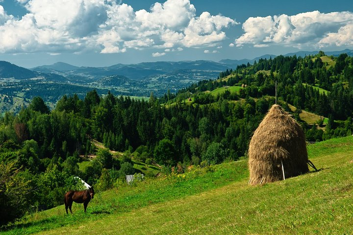 Minivan tours in Maramures Romania