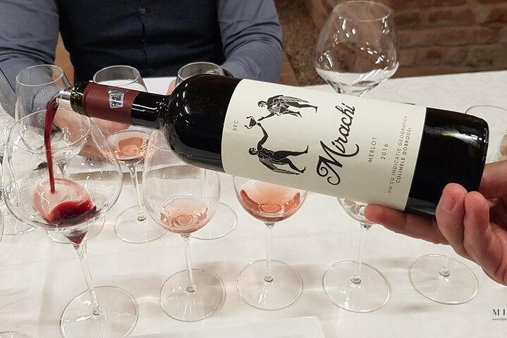 Day Tour: Visit Histria Ancient Citadel & Taste local wines - Photo 1 of 3