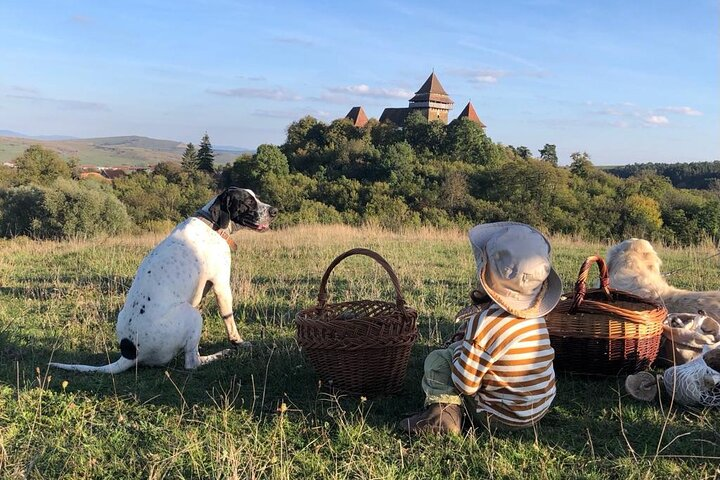 Day trip To Viscri, Racos and Rupea citadel - Photo 1 of 7