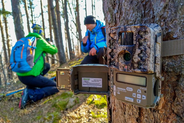 Installing trap cameras in Putna Vrancea Natural Park