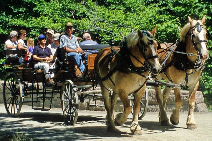Gourmet tour with horse-drawn carriage & Optional Visit a Wildlife Observatory - Photo 1 of 7