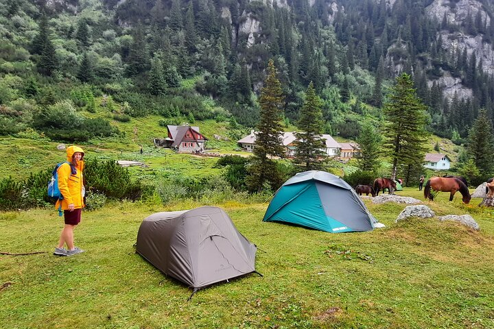 Camp side near Malaiesti cottage