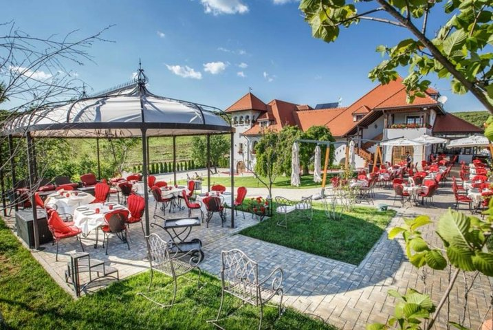 Private tour to Dracula's Grave, Wine Cellar and Medieval Palace  - Photo 1 of 8