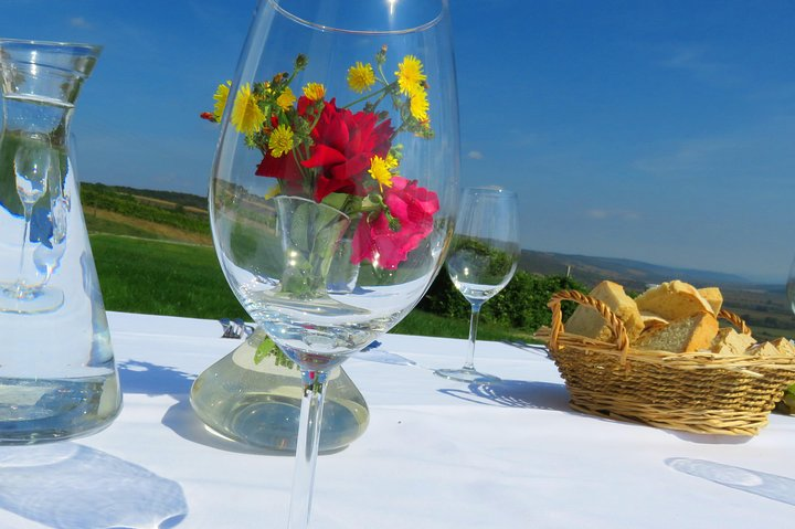 The wine route by bike - two day trip - Photo 1 of 12