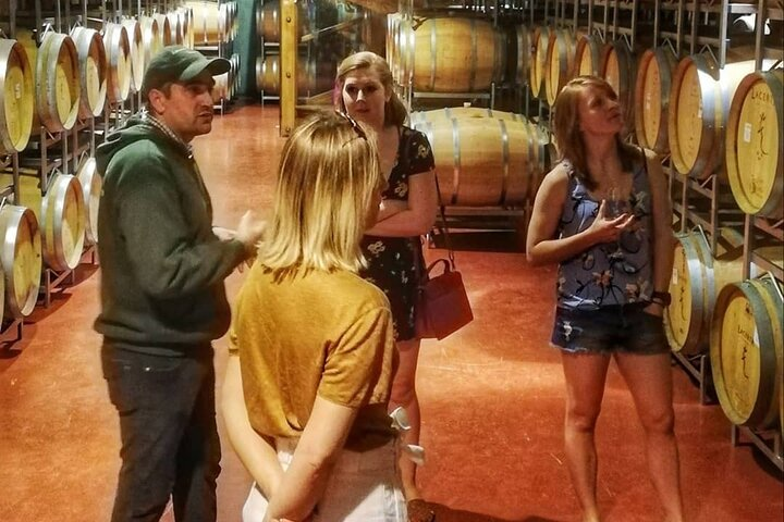 Wine Tasting Private Tour & The Royal Palace in Sinaia from Bucharest - Photo 1 of 12