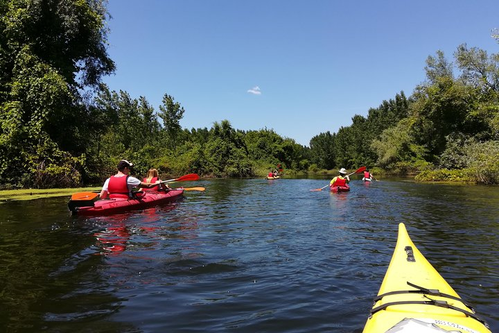 Belgrade Amazon Kayak Adventure - Photo 1 of 15