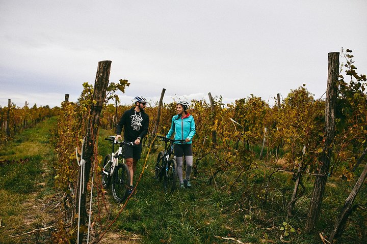 Stari Slankamen Bike Tour - Photo 1 of 7