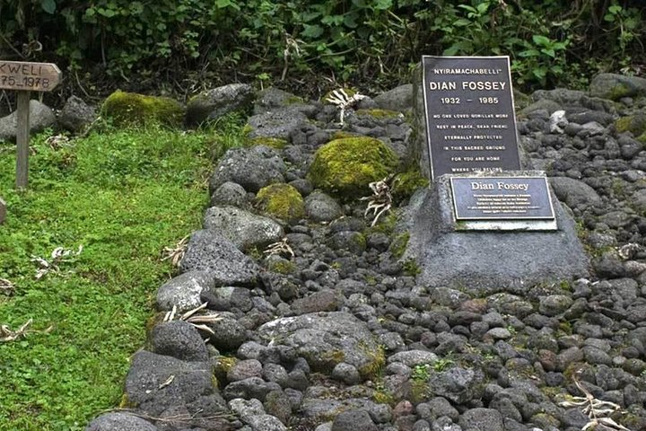 1 Day Dian Fossey Tomb Hike - Photo 1 of 12