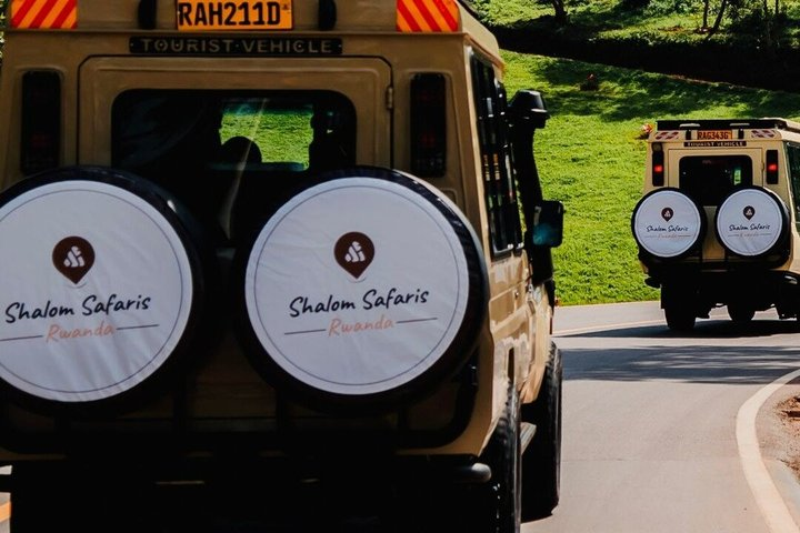 1 Day Gorilla Trekking Safari Tour - Photo 1 of 7