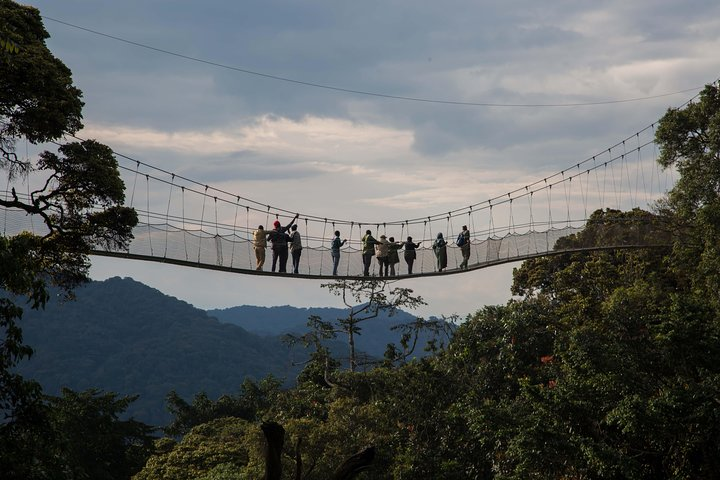 2 days in Nyungwe National Park via Huye Road  - Photo 1 of 3