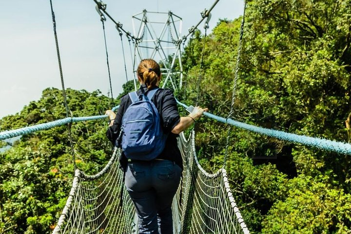 2-Day Custom itinerary in Nyungwe National Park (Chimpanzee Tracking) - Photo 1 of 7