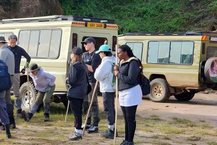 2 days Gorilla tracking Bwindi via Kigali Rwanda - Photo 1 of 15
