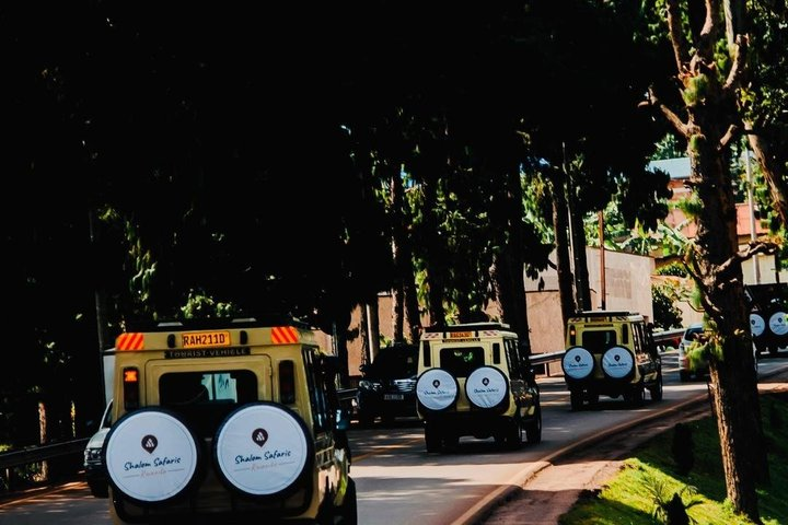 3 Days Gorilla & Golden Monkey Trekking experience Safari. - Photo 1 of 7