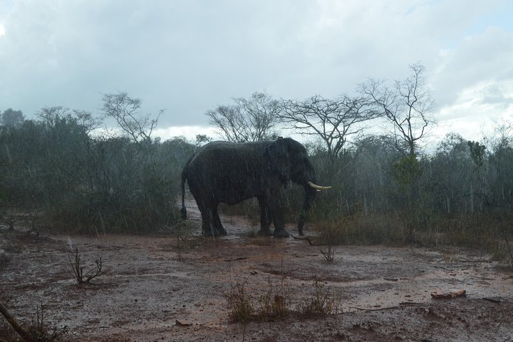 Akagera National Park - Photo 1 of 25