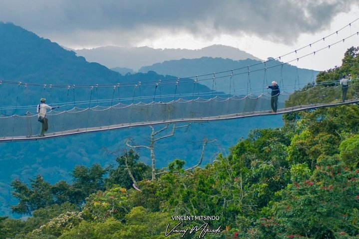 One Day Zipline Adventure, Canopy walk, Nature walk (2 Pax Min) - Photo 1 of 9