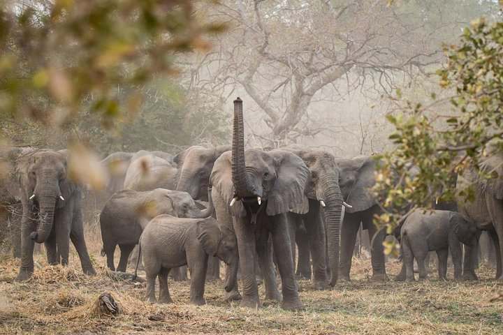 Custom 2 Days Akagera Wildlife Tour - Photo 1 of 6