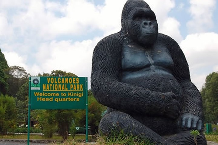 Hiking to Dian Fossey’s Tomb in the Volcanoes National Park - Photo 1 of 6