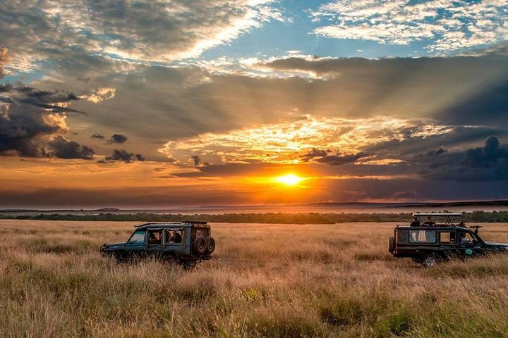 Book your trip with Virunga Programs Ecotours A trip to remember