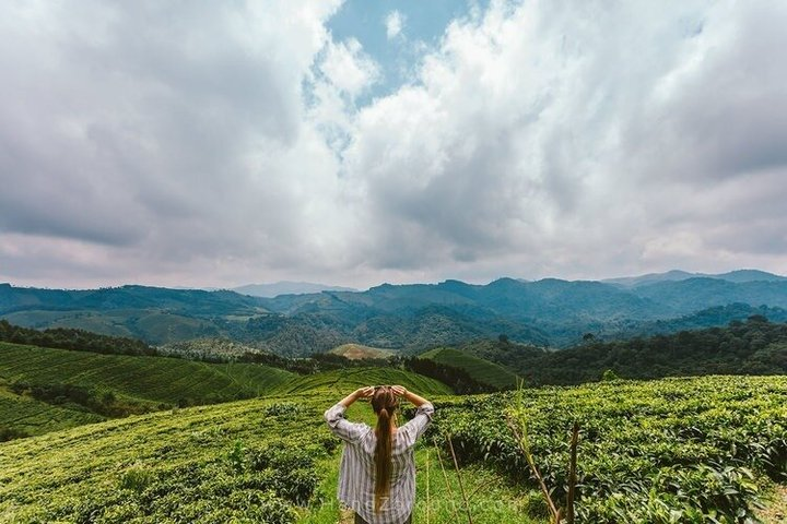 3-Day Eco-Spiritual Wellness Retreat in Gishwati - Photo 1 of 4