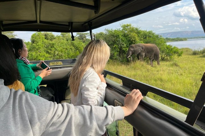 Kigali: Full-Day Akagera Safari + Optional Boat Ride - Photo 1 of 25