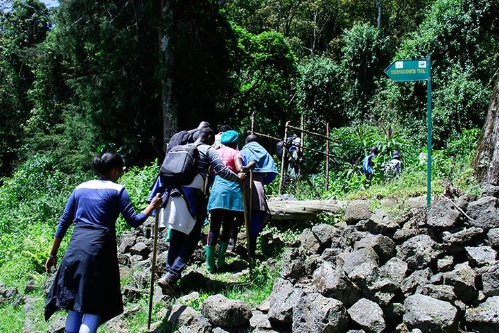 One Day Mt Bisoke Hike Adventure in Volcanoes Park ( 2 Pax Min) - Photo 1 of 11