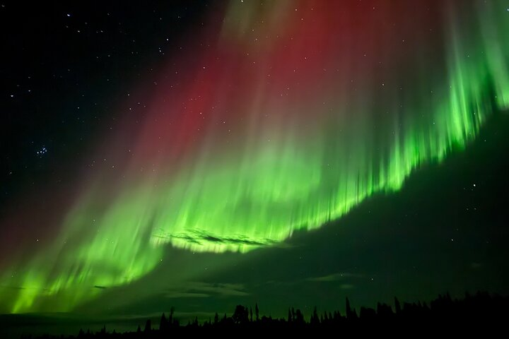 Kiruna: Aurora Chase with Street Food Dinner & Nature Guides - Photo 1 of 25
