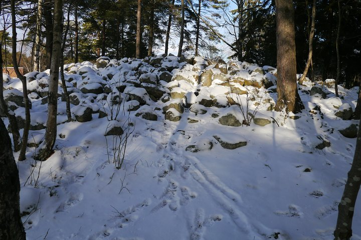Nordic bronze age cain