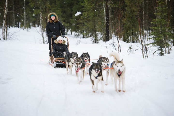 Dogsled Adventure Kiruna - Photo 1 of 14