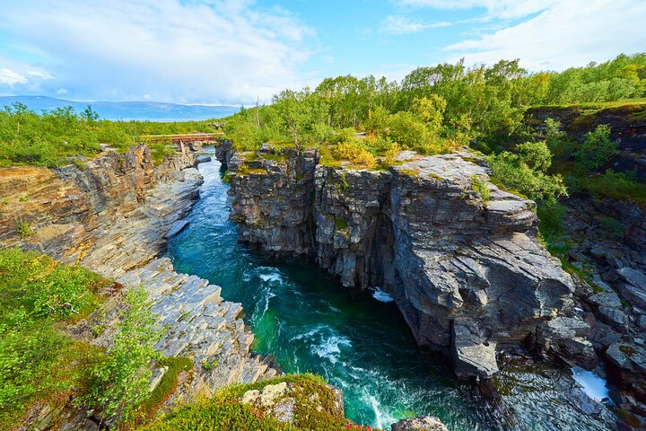 Discover Abisko Natioalpark : A Private Guided Nature Tour - Photo 1 of 8