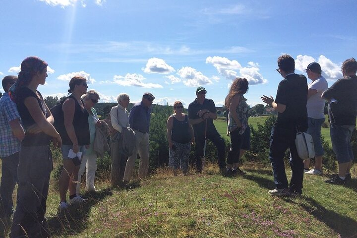 Guided nature and history experience 8h, Biskops-Arnö and Sigtuna from Stockholm - Photo 1 of 6