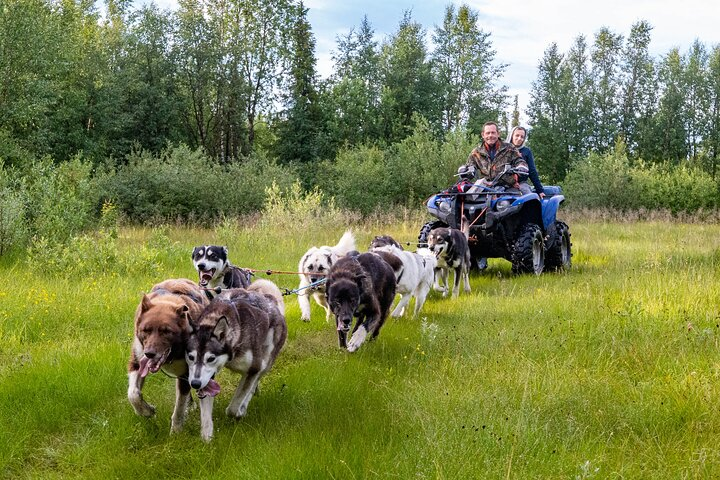 Meet 70 Huskies and Enjoy a short ATV Tour with the Huskies - Photo 1 of 13