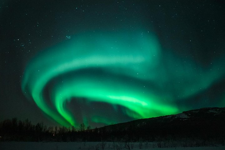 Private tour: Hunt for the Northern lights in Kiruna - Abisko - Photo 1 of 9