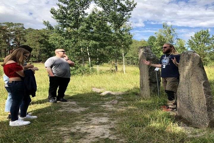 Private Tour: Swedish Iron Age Excursion from Stockholm 3h - Photo 1 of 5