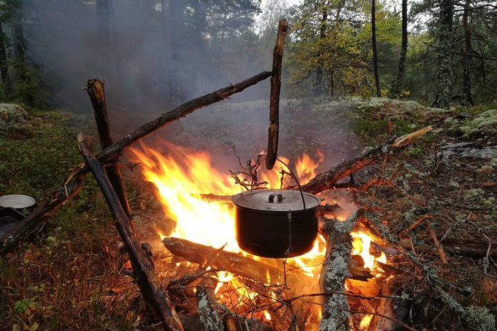 Stockholm Foraging & Outdoor Cooking: 3-Course Fire Meal - Photo 1 of 24