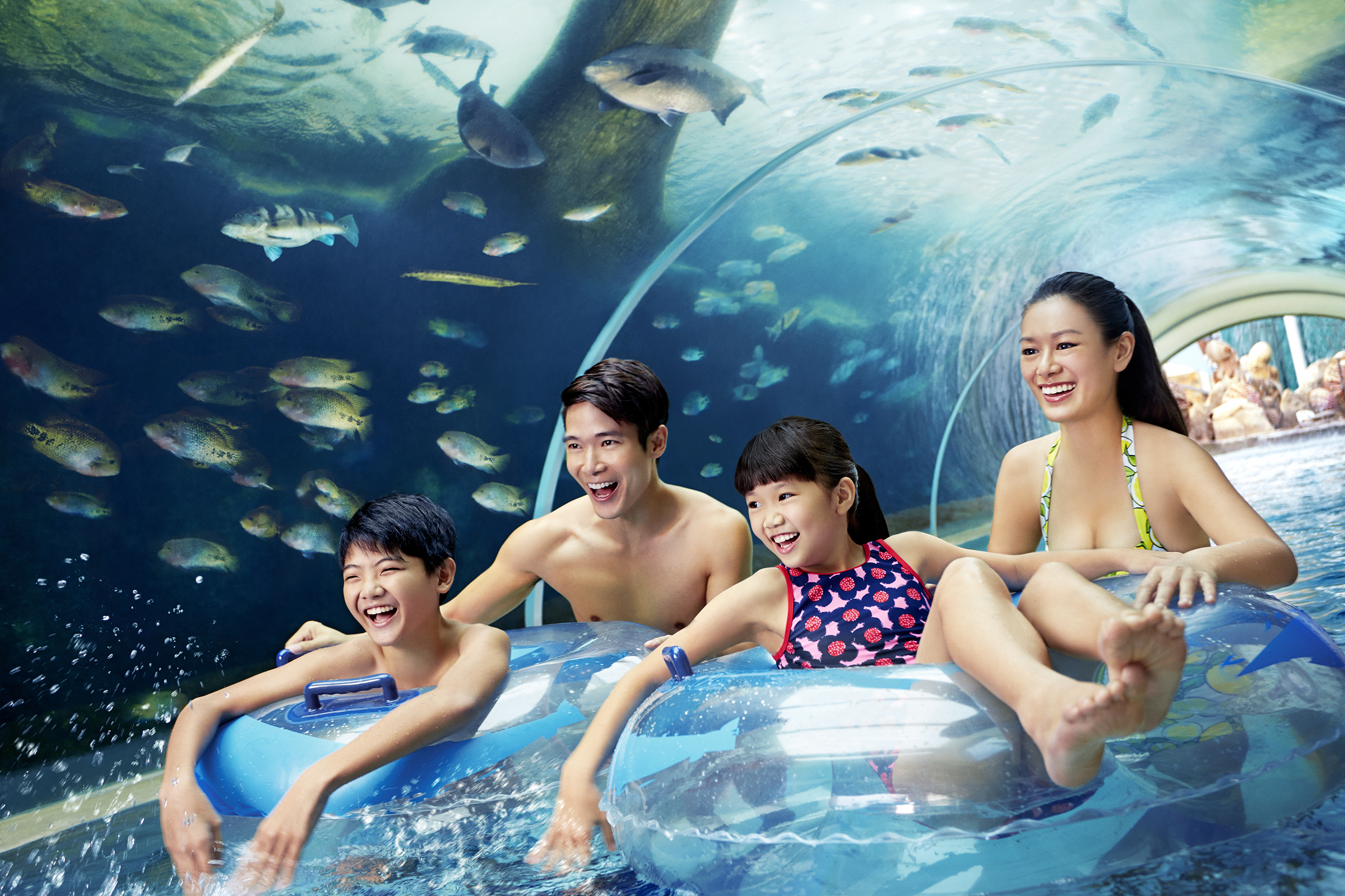 Dive into fun at Adventure Cove Waterpark where laughter echoes underwater wonders enchant and the whole family glides through a world filled with aquatic adventures and colorful marine life.