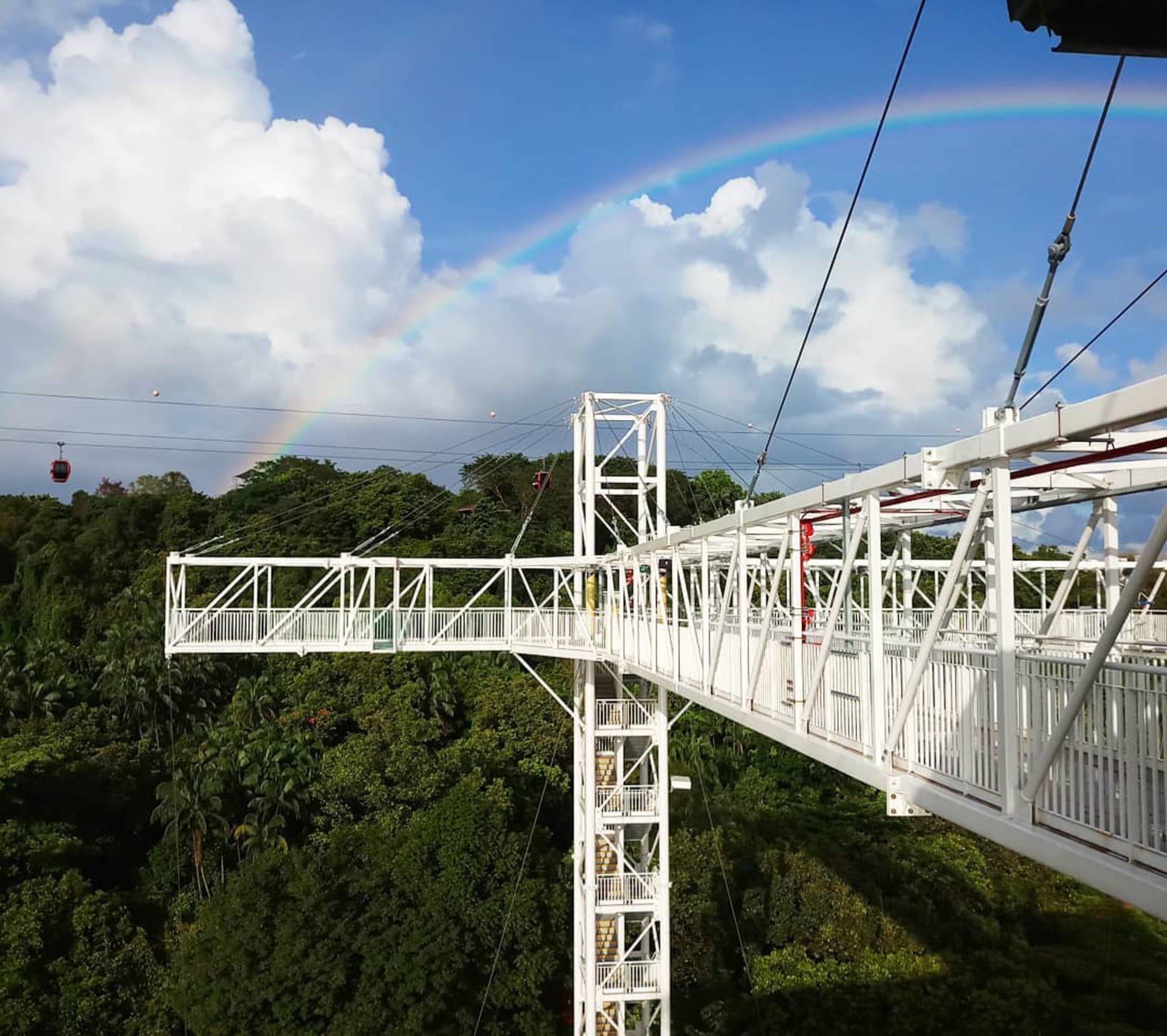 Experience the stunning views from the Sentosa Skybridge where you can walk above lush greenery and gaze down through transparent sections all while enjoying a spectacular rainbow overhead.