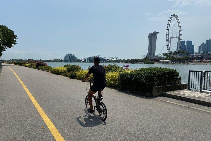 Explore Singapore's stunning skyline and serene river views on a leisurely bike ride weaving through iconic landmarks and lush gardens for an unforgettable experience.